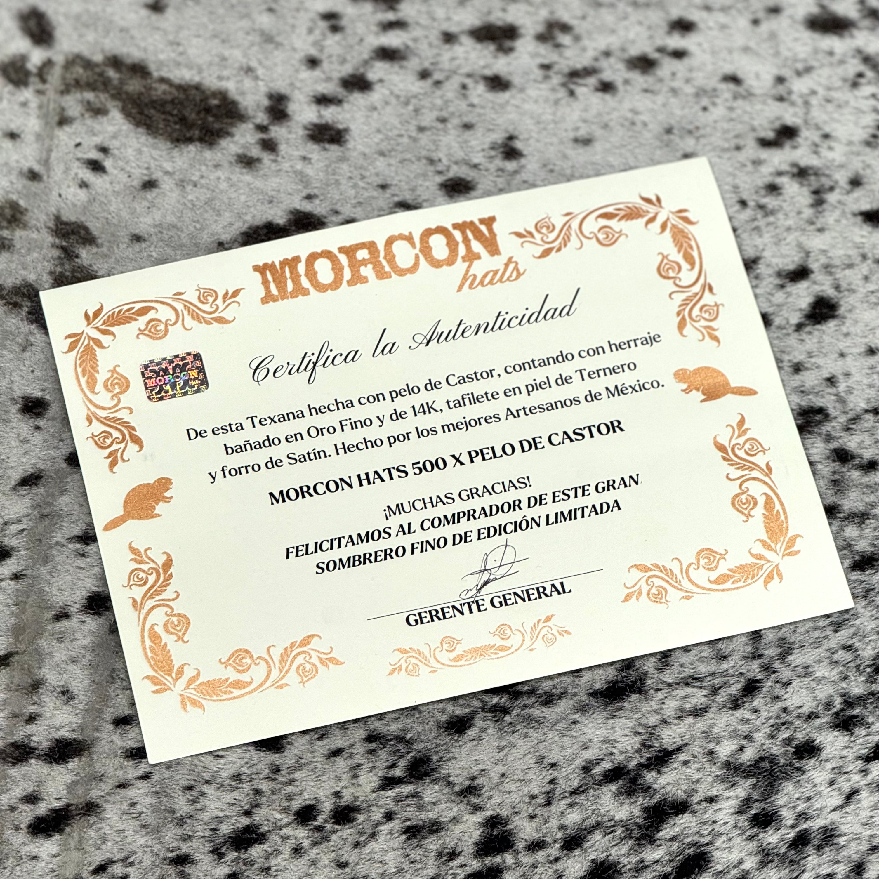 TEXANA EN PELAJE DE CASTOR